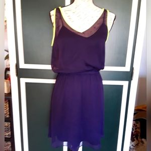 Women's Express Purple Dress